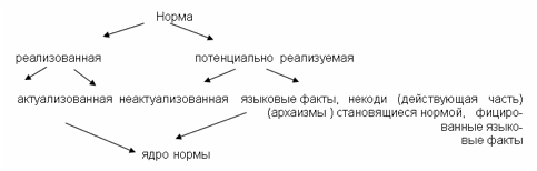 Курс культура русской речи