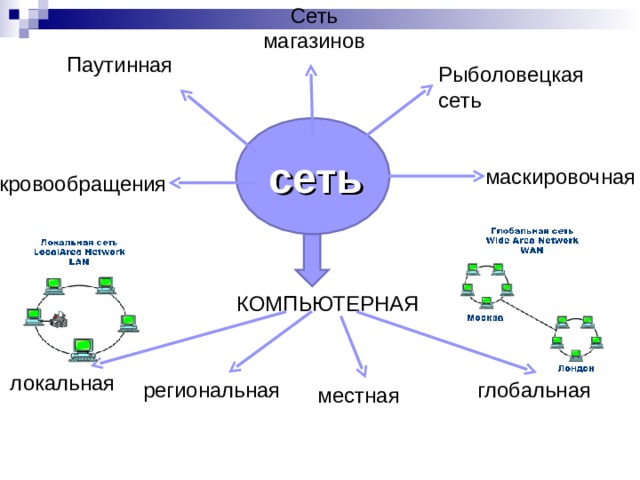 Сеть магазинов Паутинная Рыболовецкая сеть сеть маскировочная кровообращения КОМПЬЮТЕРНАЯ локальная региональная глобальная местная 