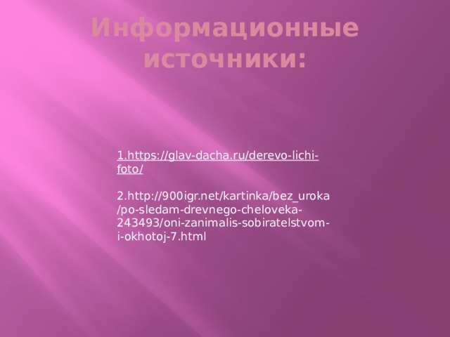 Информационные источники: 1.https://glav-dacha.ru/derevo-lichi-foto/ 2.http://900igr.net/kartinka/bez_uroka/po-sledam-drevnego-cheloveka-243493/oni-zanimalis-sobiratelstvom-i-okhotoj-7.html