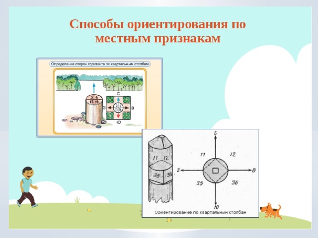 Ориентирование на местности по местным признакам презентация
