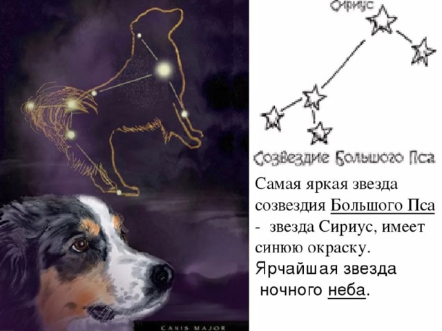 Созвездие сириус схема