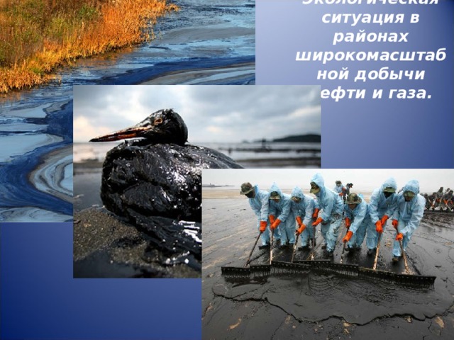  Экологическая ситуация в районах широкомасштабной добычи нефти и газа.    