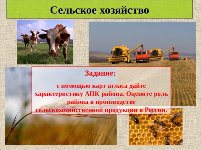 Сельское хозяйство Задание: с помощью карт атласа дайте характеристику АПК района. Оцените роль района в производстве сельскохозяйственной продукции в России.  