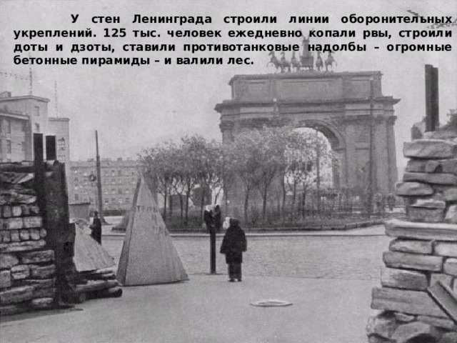  У стен Ленинграда строили линии оборонительных укреплений. 125 тыс. человек ежедневно копали рвы, строили доты и дзоты, ставили противотанковые надолбы – огромные бетонные пирамиды – и валили лес. 