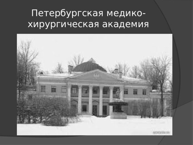 Петербургская медико-хирургическая академия 