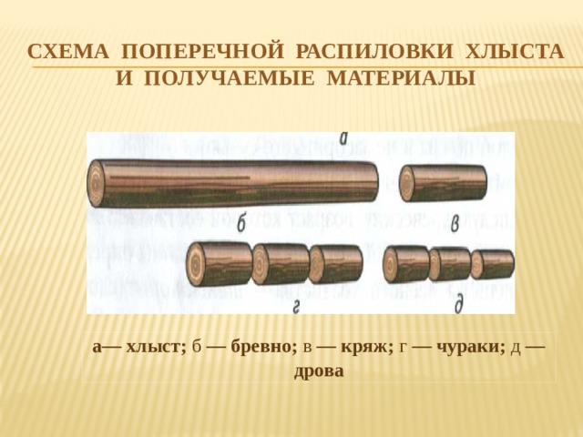 Распилили несколько бревен. Лесоматериалы: бревно, Кряж, Чурак, хлыст. Хлыст бревно Кряж Чурак. Схема поперечной распиловки хлыста и получаемые материалы. Лесоматериалы бревно, Кряж, Чурак.