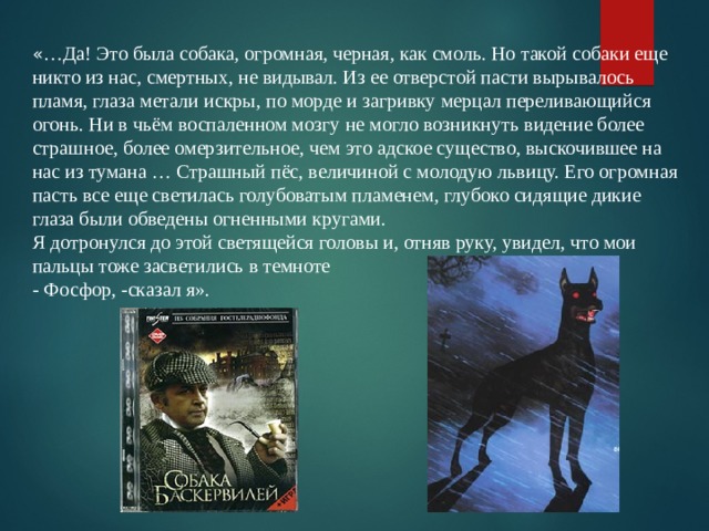 « …Да! Это была собака, огромная, черная, как смоль. Но такой собаки еще никто из нас, смертных, не видывал. Из ее отверстой пасти вырывалось пламя, глаза метали искры, по морде и загривку мерцал переливающийся огонь. Ни в чьём воспаленном мозгу не могло возникнуть видение более страшное, более омерзительное, чем это адское существо, выскочившее на нас из тумана … Страшный пёс, величиной с молодую львицу. Его огромная пасть все еще светилась голубоватым пламенем, глубоко сидящие дикие глаза были обведены огненными кругами. Я дотронулся до этой светящейся головы и, отняв руку, увидел, что мои пальцы тоже засветились в темноте - Фосфор, -сказал я». 