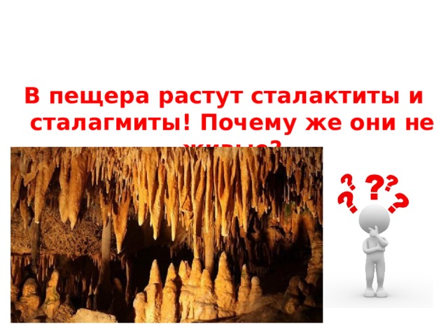 В пещера растут сталактиты и сталагмиты! Почему же они не живые? 