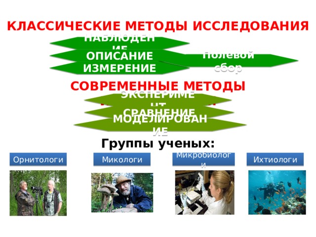 Исследования о природе общества. Методы Орнитологических исследований. Орнитология метод исследования. Описание метод изучения природы. Способы изучения природы 3.