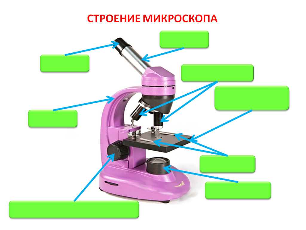 Микроскоп цифровой строение и описание 5 класс. Микроскоп строение микроскопа. Световой микроскоп строение. Строение микроскопа цифрового микроскопа. Строение светового микроскопа 5 класс.