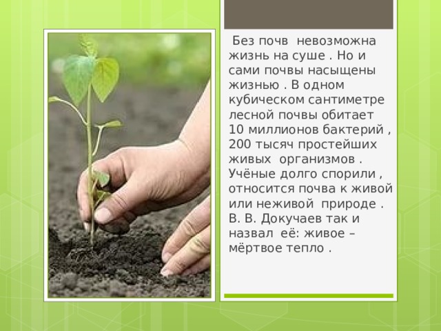 Почему без растений жизнь невозможно. Без чего невозможна жизнь. Человек не может жить без почвы. Без растений и животных немыслима жизнь человека. Невозможное в жизни.