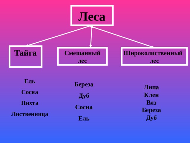 Технологическая карта леса россии 4 класс