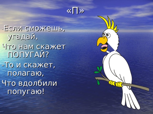 Сколько слов говорит попугай. Попугай Азбука. Если сможешь Угадай что нам скажет попугай. Стихотворение про букву п и попугая. Мохнатая Азбука.