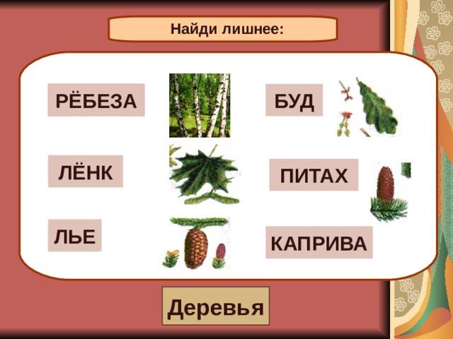 Найди лишнее: ДУБ БЕРЁЗА РЁБЕЗА БУД КЛЁН ЛЁНК ПИХТА ПИТАХ ЛЬЕ ЕЛЬ КРАПИВА КАПРИВА Деревья 