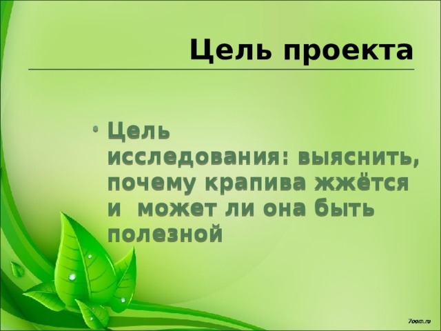 Почему жжется. Проект почему крапива жжется. Почему крапива жжется исследовательская работа. Исследовательский проект почему крапива жжется для дошкольников. Интересные факты о крапиве.