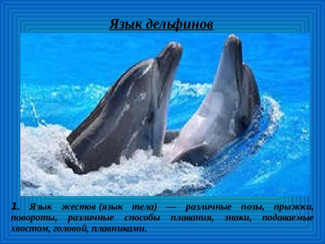 Язык дельфинов 1 . Язык жестов (язык тела) — различные позы, прыжки, повороты, различные способы плавания, знаки, подаваемые хвостом, головой, плавниками.  
