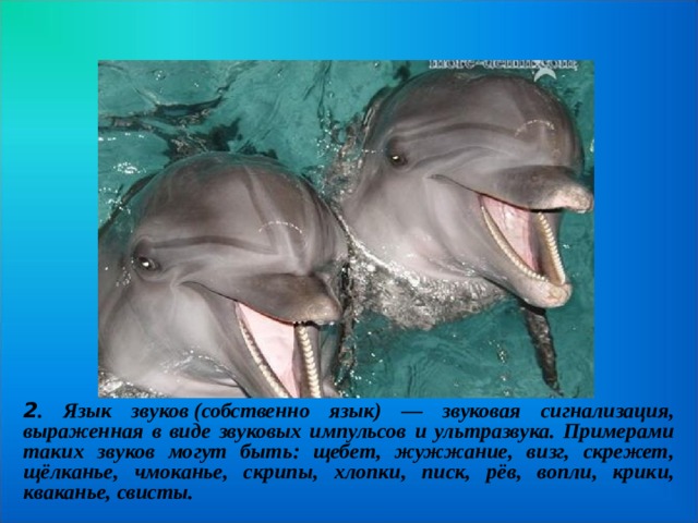 2 . Язык звуков (собственно язык) — звуковая сигнализация, выраженная в виде звуковых импульсов и ультразвука. Примерами таких звуков могут быть: щебет, жужжание, визг, скрежет, щёлканье, чмоканье, скрипы, хлопки, писк, рёв, вопли, крики, кваканье, свисты.  