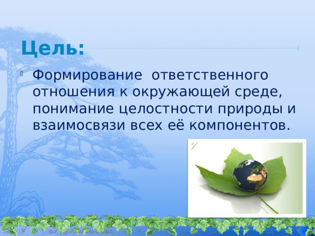 Цель: Формирование ответственного отношения к окружающей среде, понимание целостности природы и взаимосвязи всех её компонентов. 10/12/19 http://www.deti-66.ru/   