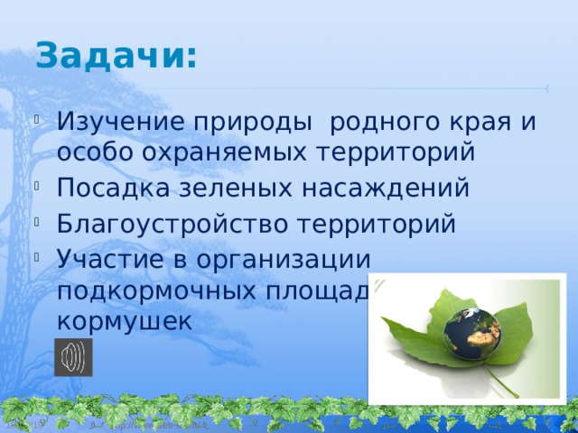 Задачи: Изучение природы родного края и особо охраняемых территорий Посадка зеленых насаждений Благоустройство территорий Участие в организации подкормочных площадок и кормушек 10/12/19 http://www.deti-66.ru/   