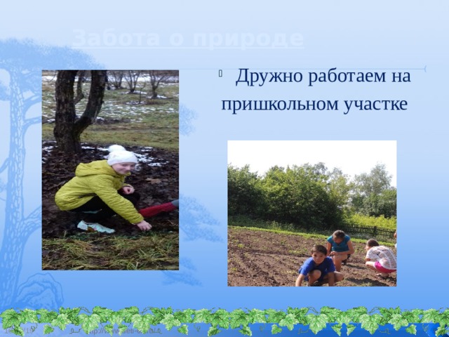 Забота о природе Дружно работаем на пришкольном участке 10/12/19 http://www.deti-66.ru/  