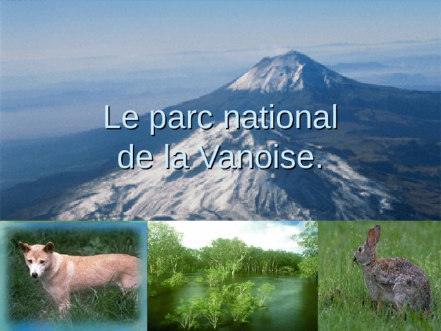 Le parc national  de la Vanoise. 