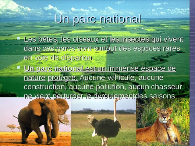 Un parc national Les b êtes, les oiseaux et les insectes qui vivent dans ces parcs sont surtout des esp è ces rares en voie de disparion. Un parc national est un immense espace de nature  prot é g é e. Aucune v é hicule, aucune construction, aucune pollution, aucun chasseur ne vient perturber le d é roulementdes saisons 