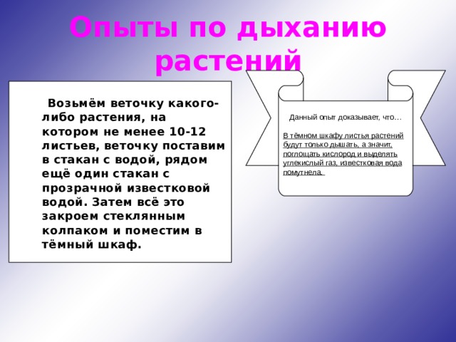 Опыты по дыханию растений  Данный опыт доказывает, что… В тёмном шкафу листья растений будут только дышать, а значит, поглощать кислород и выделять углекислый газ, известковая вода помутнела.  Возьмём веточку какого-либо растения, на котором не менее 10-12 листьев, веточку поставим в стакан с водой, рядом ещё один стакан с прозрачной известковой водой. Затем всё это закроем стеклянным колпаком и поместим в тёмный шкаф.  Возьмём веточку какого-либо растения, на котором не менее 10-12 листьев, веточку поставим в стакан с водой, рядом ещё один стакан с прозрачной известковой водой. Затем всё это закроем стеклянным колпаком и поместим в тёмный шкаф.  