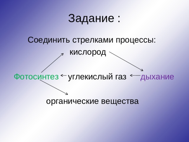 В процессе дыхания органические вещества