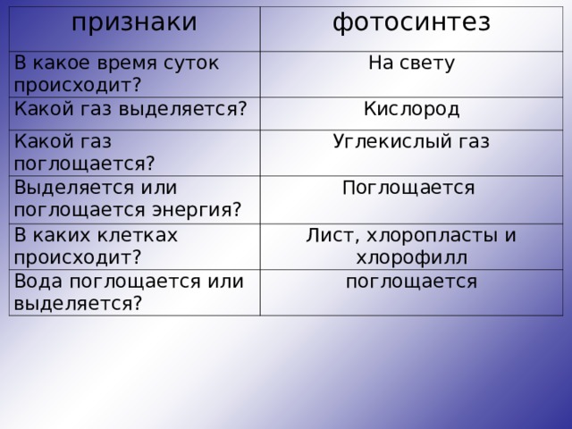 В какое время суток происходит дыхание растения. Энергия поглощается или выделяется фотосинтез и дыхание. В какое время суток происходит фотосинтез. В какое время суток происходит дыхание. Какой ГАЗ поглощается фотосинтез.