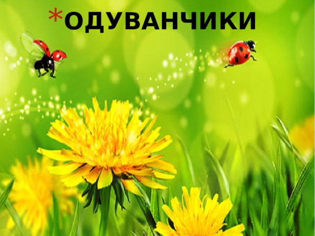 ОДУВАНЧИКИ 