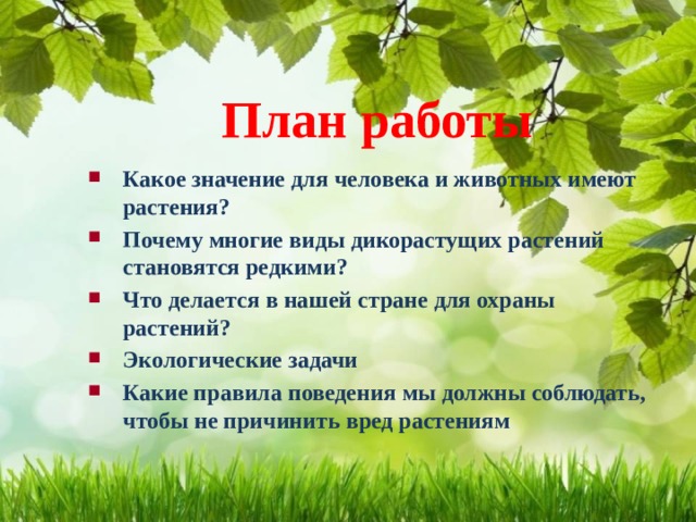 Какое значение для человека имеют растения. План по проекту охрана животных и растений. План защиты растений. План по охране растений. Значение растений и охрана.