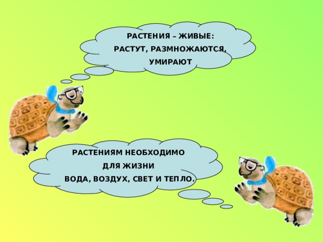 Презентация как живут растения