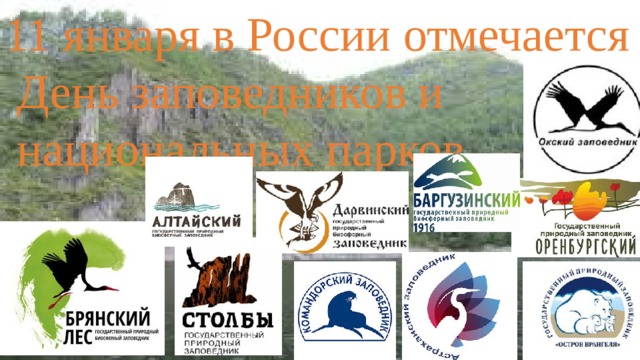 11 января в России отмечается День заповедников и национальных парков 