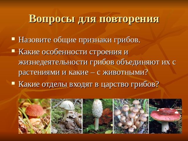 Вопросы для повторения Назовите общие признаки грибов. Какие особенности строения и жизнедеятельности грибов объединяют их с растениями и какие – с животными? Какие отделы входят в царство грибов?  ММЦ 74212 