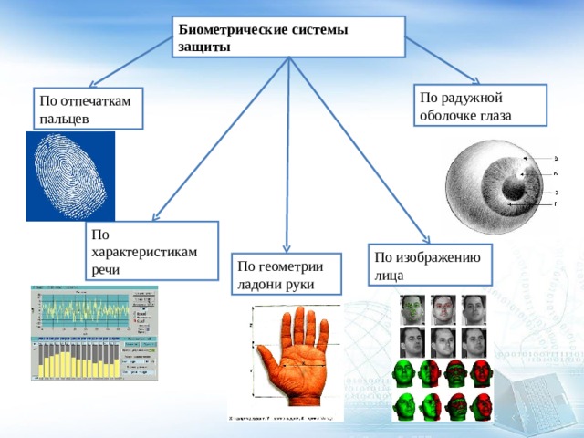 Биометрические системы защиты По радужной оболочке глаза По отпечаткам пальцев По характеристикам речи По изображению лица По геометрии ладони руки 