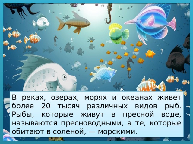 В ручьях и реках в озерах и океанах повсюду кипит жизнь схема