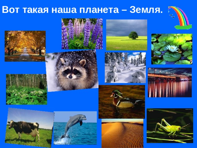 Вот такая наша планета – Земля.  