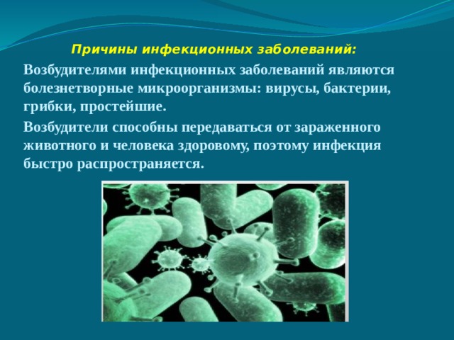 Первичные бактерии