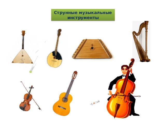 Струнные музыкальные инструменты 