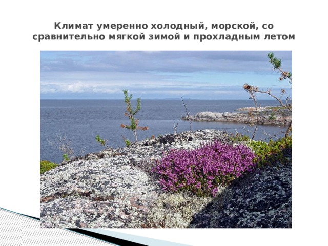 Климат умеренно холодный, морской, со сравнительно мягкой зимой и прохладным летом 