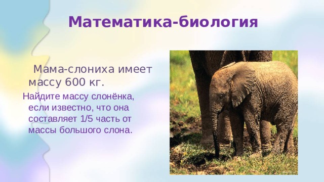 Математика-биология  Мама-слониха имеет массу 600 кг.  Найдите массу слонёнка, если известно, что она составляет 1/5 часть от массы большого слона. 