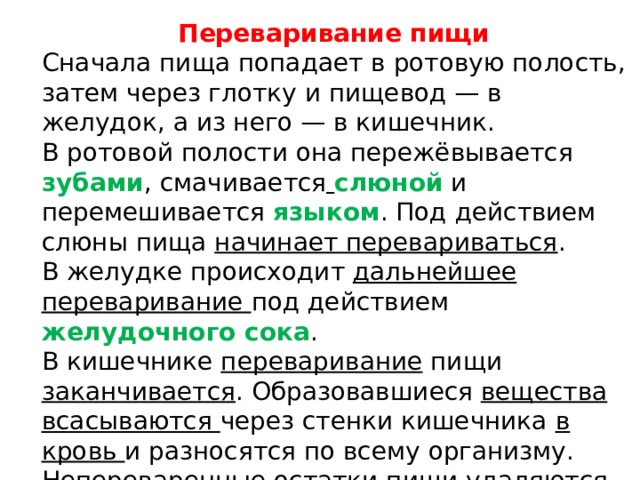 Переваривание пищи Сначала пища попадает в ротовую полость, затем через глотку и пищевод — в желудок, а из него — в кишечник. В ротовой полости она пережёвывается  зубами , смачивается  слюной и перемешивается языком . Под действием слюны пища начинает перевариваться . В желудке происходит дальнейшее переваривание под действием желудочного сока . В кишечнике переваривание пищи заканчивается . Образовавшиеся вещества всасываются через стенки кишечника в кровь и разносятся по всему организму. Непереваренные остатки пищи удаляются из кишечника 