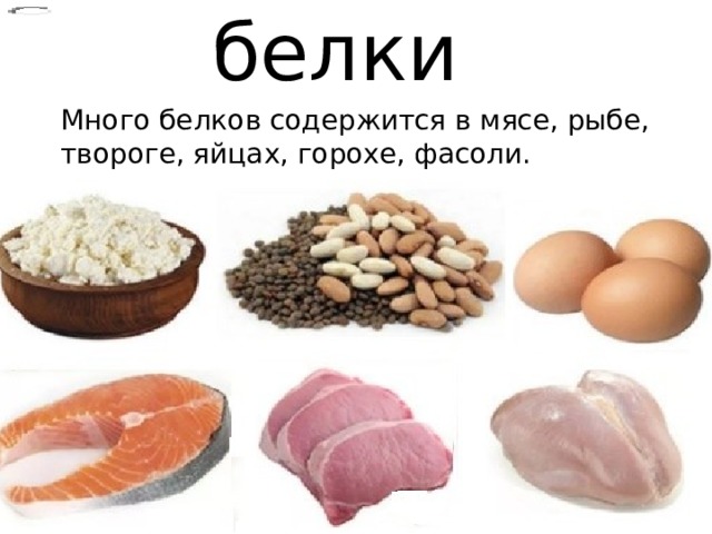 белки Много белков содержится в мясе, рыбе, твороге, яйцах, горохе, фасоли. 
