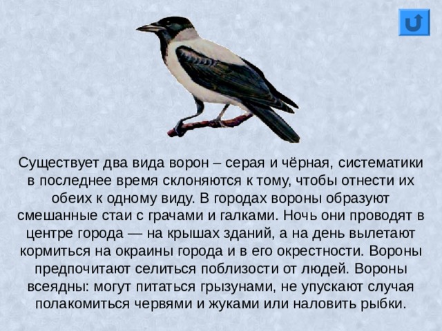 Горничная была сирота которая чтобы кормиться должна была поступить в услужение схема