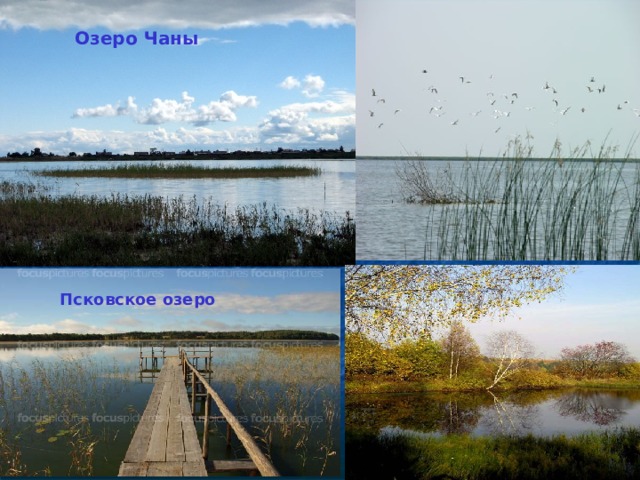  Озеро Чаны  Псковское озеро 
