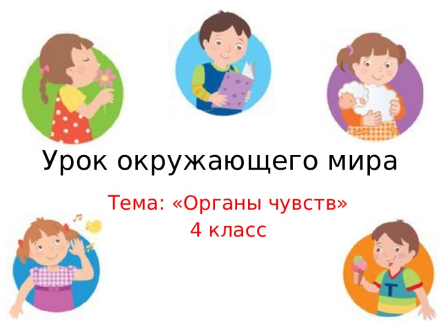 Урок окружающего мира Тема: «Органы чувств» 4 класс 