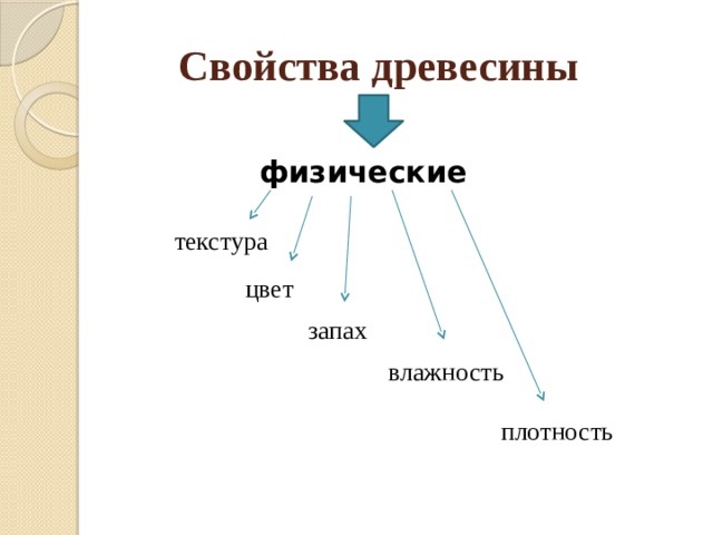 Свойства дерева. Плотность влажность цвет запах свойства древесины. Физические свойства древесины. Физические свойства древесины влажность. Свойства древесины плотность влажность.