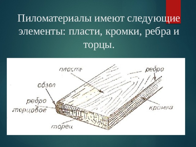 Древесина имеет. Линия пересечения пласти и кромки пиломатериала. Пиломатериалы имеют следующие элементы: пласть, ребро, торец, кромка.. Пиломатериалы имеют следующие элементы. Отходы древесины и их рациональное использование.