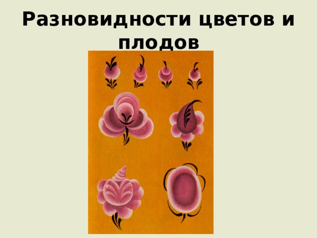 Разновидности цветов и плодов 