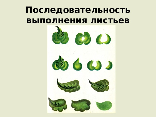 Последовательность  выполнения листьев 